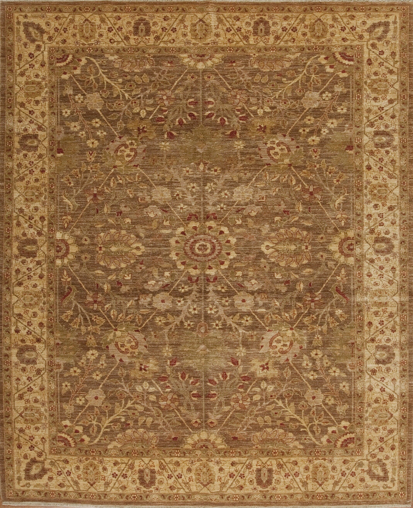 142825 Peshawar P-13032, Toffee/Camel