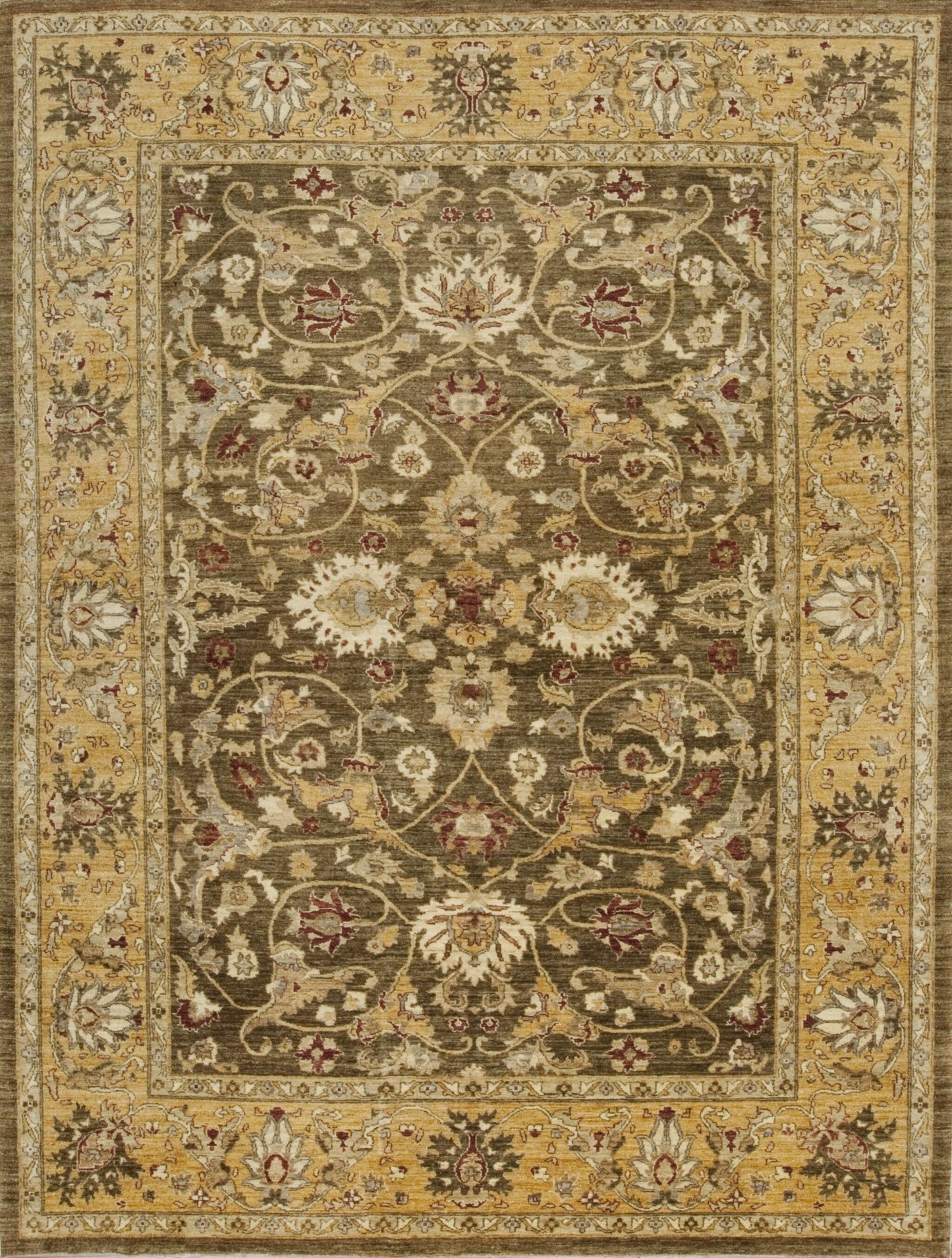 142837 Peshawar M-12787, Olive/Gold