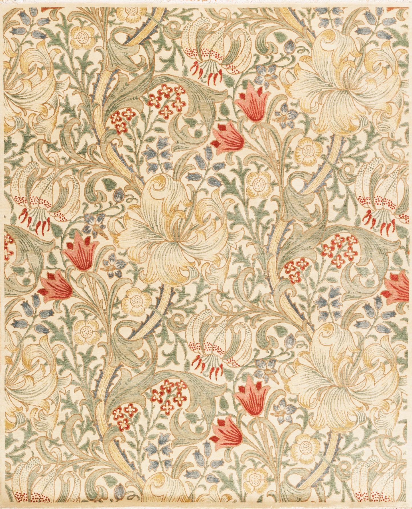 Magnolia, Ivory