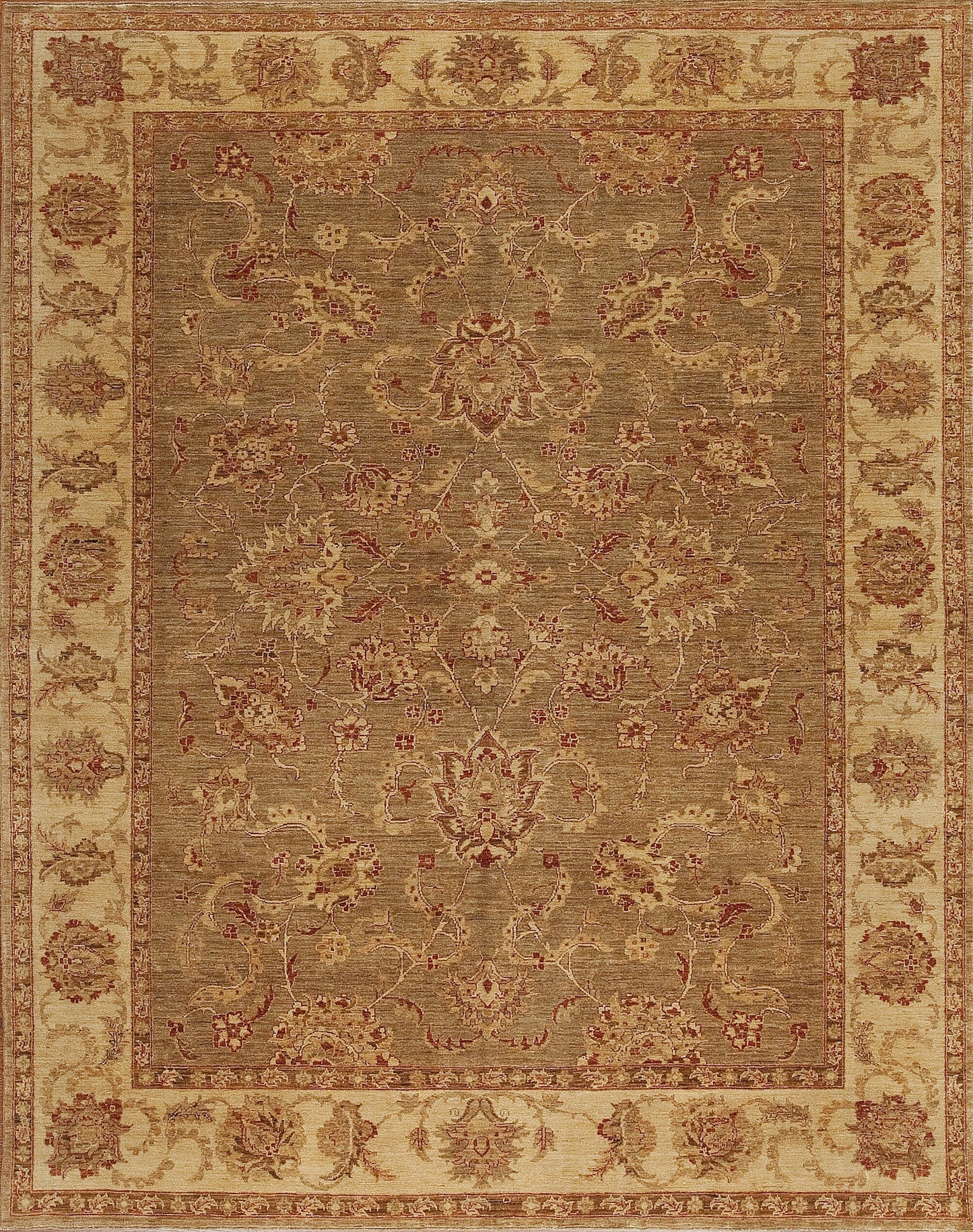 142839 Peshawar M-12897, Fawn/Cream