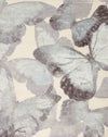 146620 Nexus Nepal 2 Butterflies