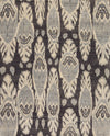 146996 Bargarh-28, Caviar