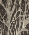 Mangrove, Graphite