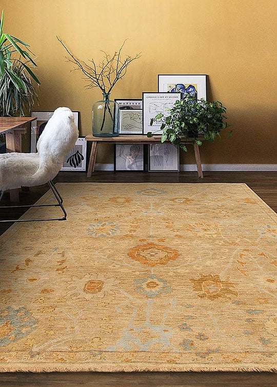 Bloom, Camel