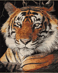 Tiger Rug  Available in size 8x10